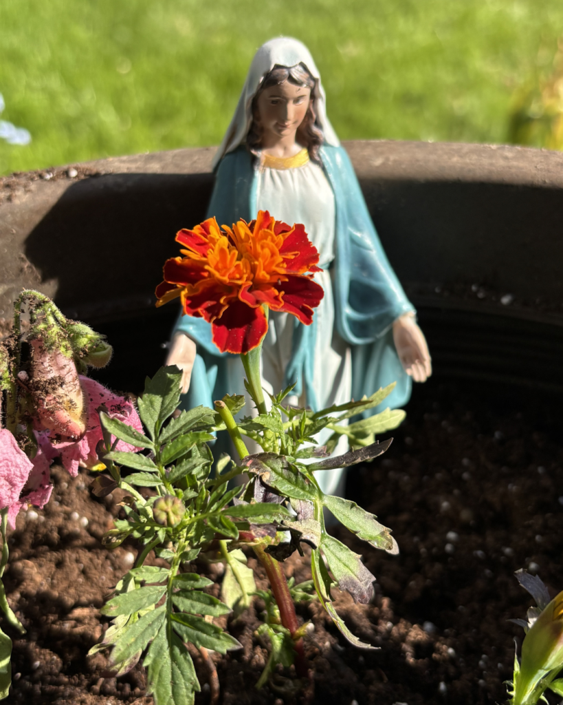 photo of Mother Mary mini garden 