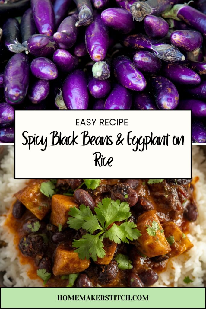 pinterest pin graphic of the recipe showing the made dish reading easy recipe spicy black beans and eggplants on rice